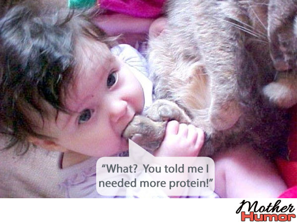 Baby Gnawing on Cat