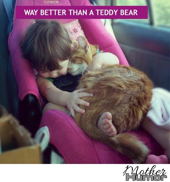 Funny picture of baby with cat in car seat