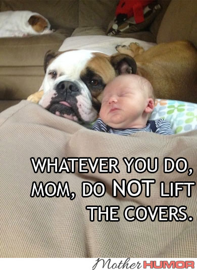 Bulldog-Baby-Covers-MotherHumor