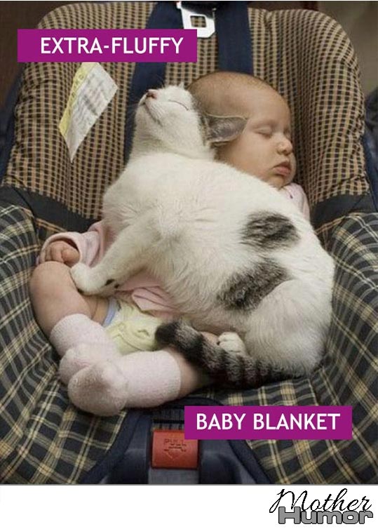 Cat sleeping on baby
