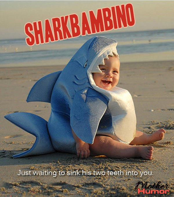 Cute baby in shark costume