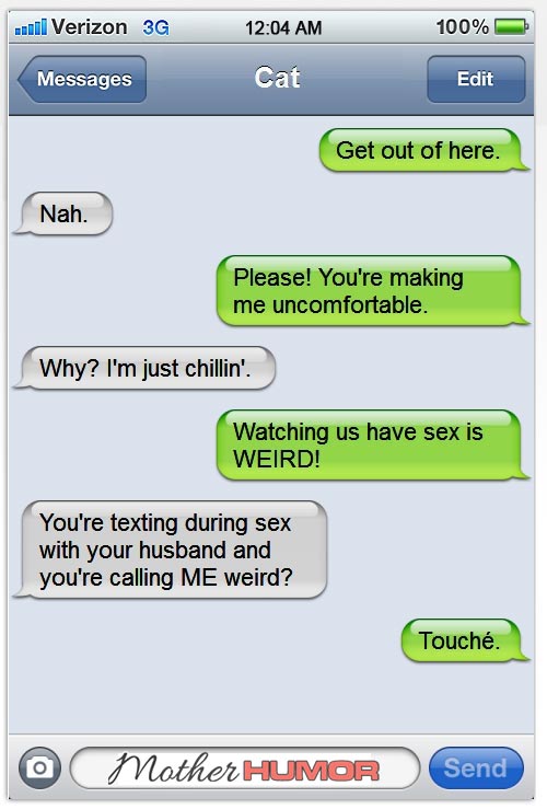 Funny Texts from Cats