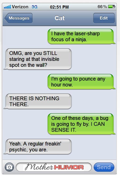 Funny Texts from Cats