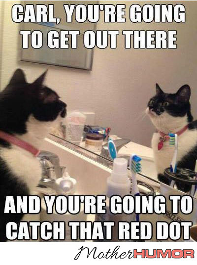 Funny Picture of Cat Looking in Mirror