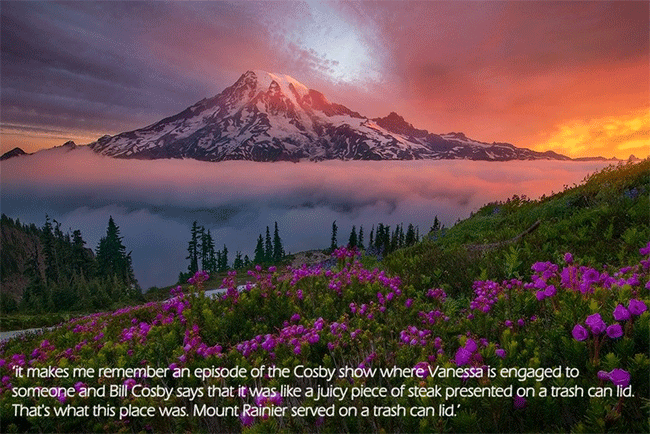 Mount Rainier, WA, US