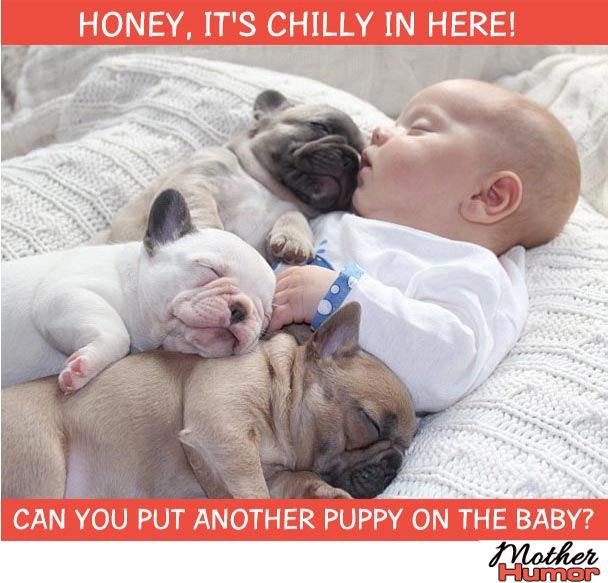 Baby Sleeping with Pugs